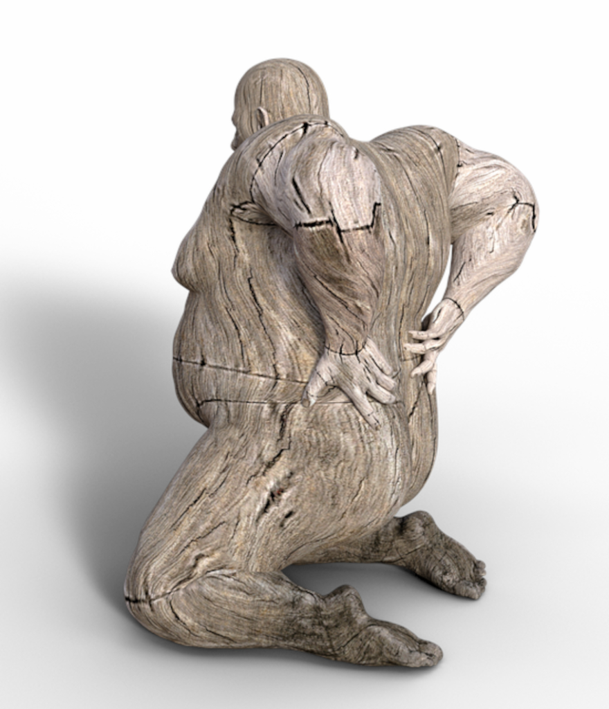 Back Pain and Diagnosis